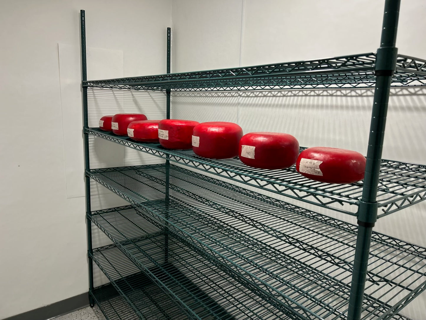 Coming Soon Aged Cheese!