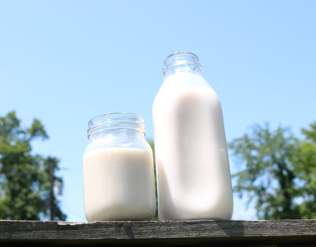 1/2 Gallon Raw Milk